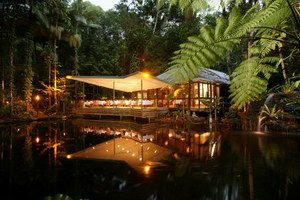 Daintree Eco Lodge & Spa - Accommodation Coffs Harbour 2