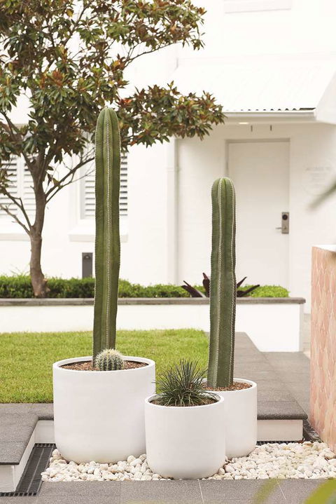 Adina Apartment Hotel Chippendale - Accommodation Coffs Harbour 0