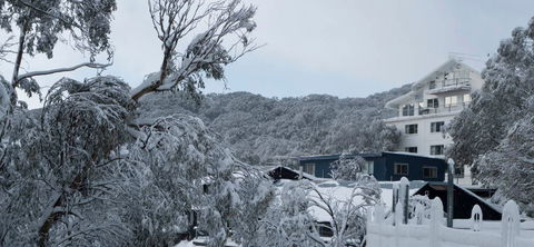 Attunga Alpine Lodge - Accommodation Coffs Harbour 0
