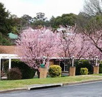 White Lanterns Motel - Accommodation Coffs Harbour