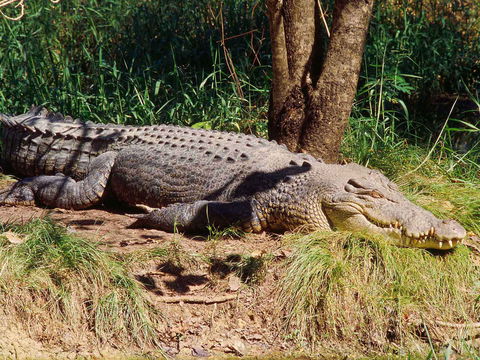 Novotel Darwin Atrium - Accommodation Coffs Harbour 16