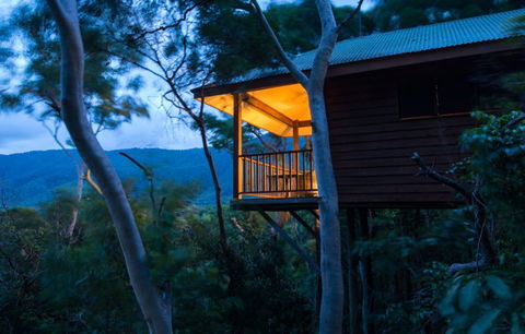 Thala Beach Nature Reserve - Accommodation Coffs Harbour 0