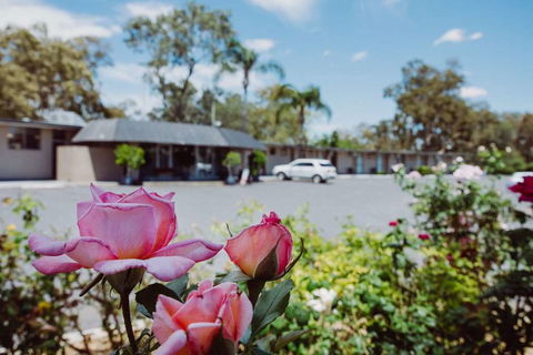 Artesian Spa Motor Inn - Accommodation Coffs Harbour 2
