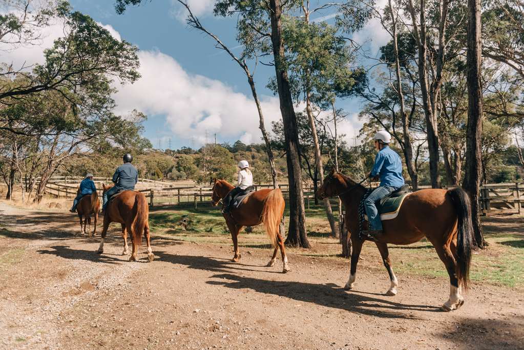 Launceston TAS Accommodation Coffs Harbour