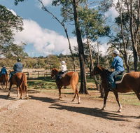 Country Club Tasmania - Accommodation Coffs Harbour
