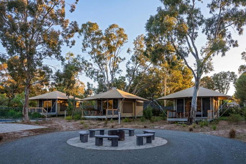 Discovery Parks Barossa Valley - Accommodation Coffs Harbour 0