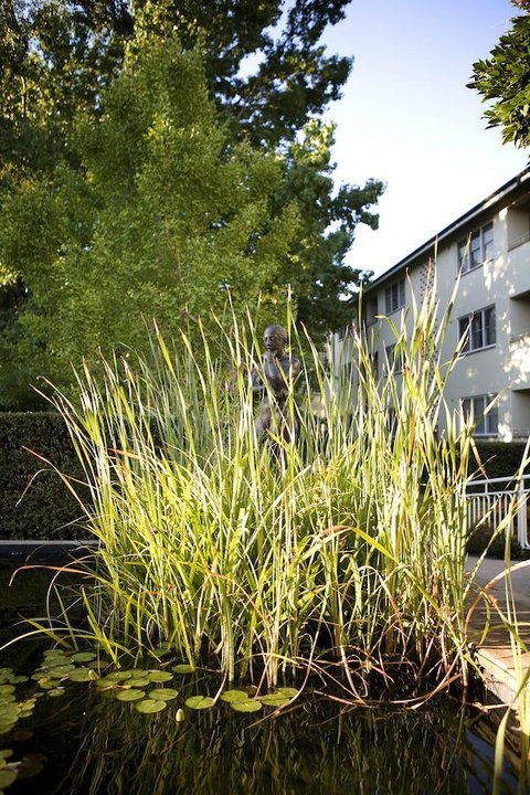 University House - ANU - Accommodation Coffs Harbour 11