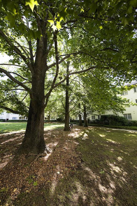 University House - ANU - Accommodation Coffs Harbour 28