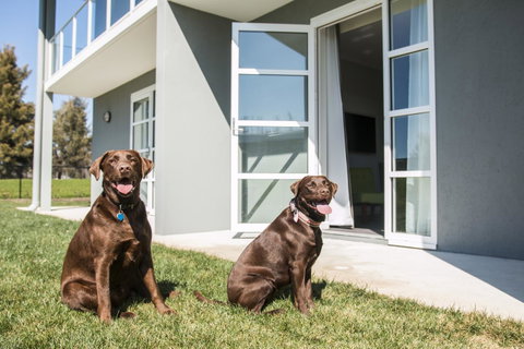 Abode Narrabundah - Accommodation Coffs Harbour 20