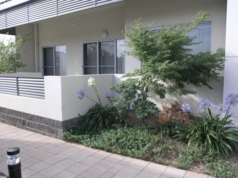 Kesh At Aamira - Accommodation Coffs Harbour 16