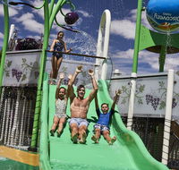 Discovery Parks  Barossa Valley - Accommodation Coffs Harbour