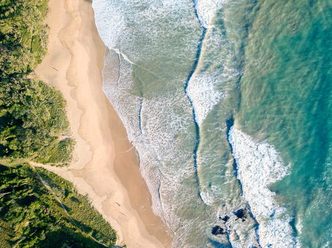 Pacific Bay Resort - Accommodation Coffs Harbour 25