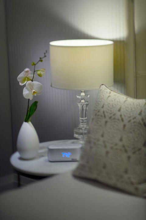 Mayfair Hotel - Accommodation Coffs Harbour 13
