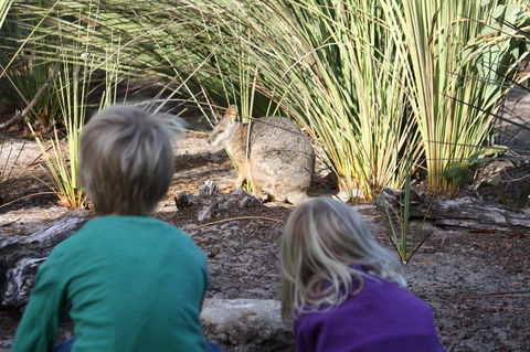 Kangaroo Island Wilderness Retreat - Accommodation Coffs Harbour 30