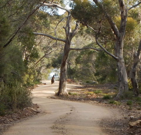 Kangaroo Island Wilderness Retreat - Accommodation Coffs Harbour 22