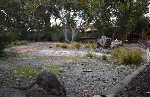 Kangaroo Island Wilderness Retreat - Accommodation Coffs Harbour 1