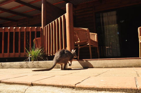 Kangaroo Island Wilderness Retreat - Accommodation Coffs Harbour 9