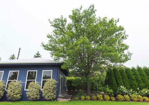 S T U D I O 22 Peaceful Retreat With Garden Views - Accommodation Coffs Harbour 11