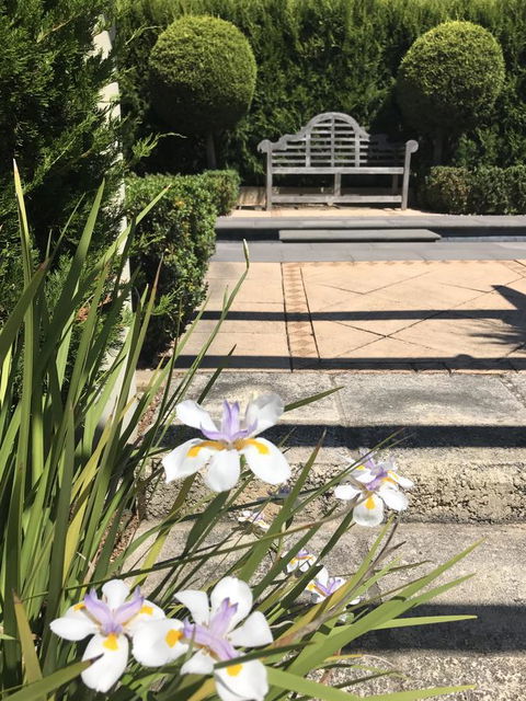 S T U D I O 22 Peaceful Retreat With Garden Views - Accommodation Coffs Harbour 13