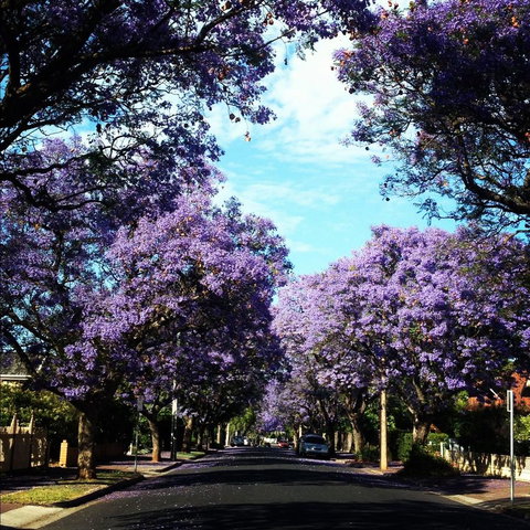 Monaco Court Apartment Adelaide - Accommodation Coffs Harbour 0