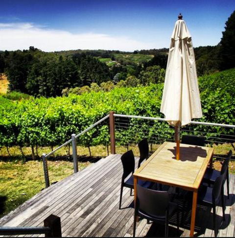 Monaco Court Apartment Adelaide - Accommodation Coffs Harbour 27