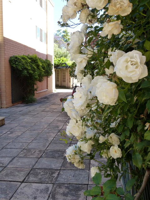 Monaco Court Apartment Adelaide - Accommodation Coffs Harbour 19