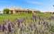 Barossa Vineyard Cottages - thumb 10