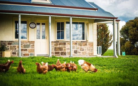 Barossa Vineyard Cottages - Accommodation Coffs Harbour 40