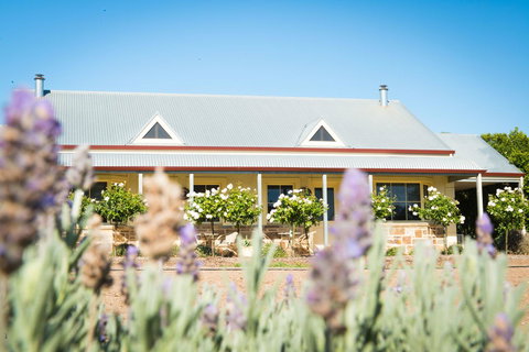 Barossa Vineyard Cottages - Accommodation Coffs Harbour 3