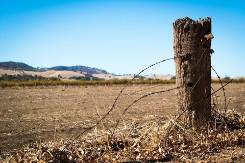 Barossa Vineyard Cottages - Accommodation Coffs Harbour 5