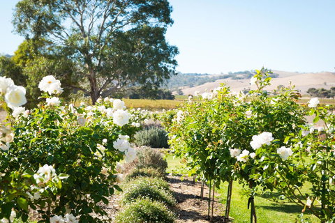 Barossa Vineyard Cottages - Accommodation Coffs Harbour 1