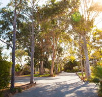 Modra's Apartments - Accommodation Coffs Harbour