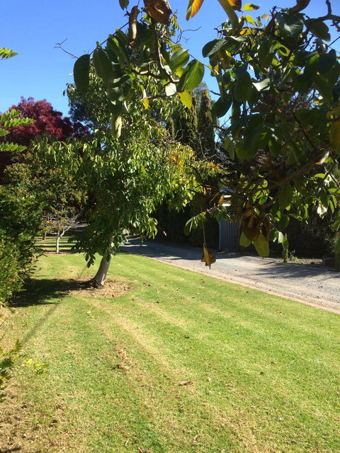 Vineyard Cottage BnB - Accommodation Coffs Harbour 17