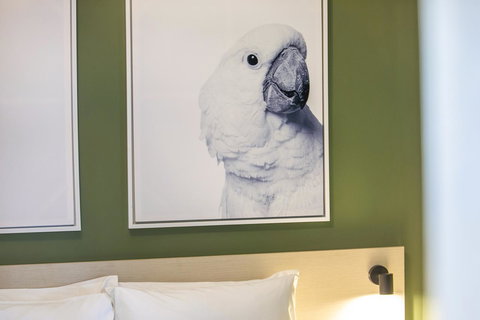 Nightcap At Exeter Hotel - Accommodation Coffs Harbour 12