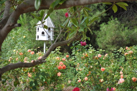 The Lyndoch Motel - Accommodation Coffs Harbour 2
