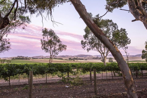 Jasmine\'s Barossa Valley Cottage - Accommodation Coffs Harbour 19