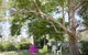 Jasmine\'s Barossa Valley Cottage - thumb 18