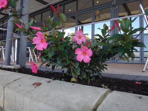 Mandurah Quay Resort - Accommodation Coffs Harbour 34