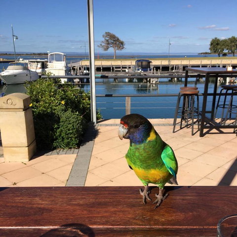 Mandurah Quay Resort - Accommodation Coffs Harbour 32
