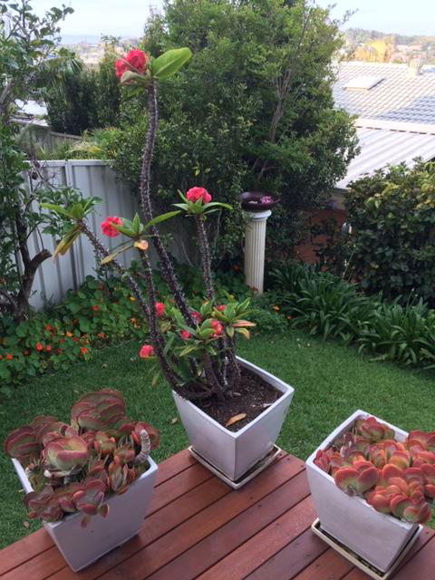 Churchill View Forster - Accommodation Coffs Harbour 11