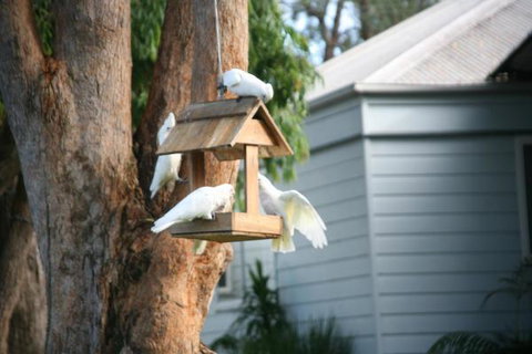 Huskisson Holiday Motel Cabins - Accommodation Coffs Harbour 29