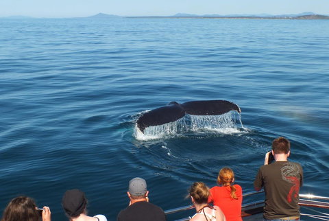 Pacific Marina Apartments - Accommodation Coffs Harbour 34