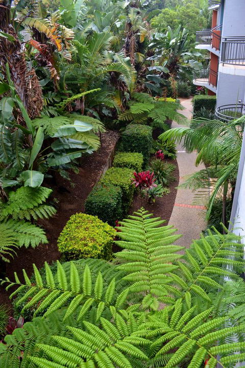 Flynns Beach Resort - Accommodation Coffs Harbour 17