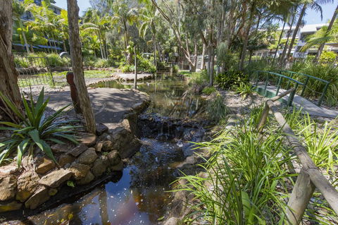 Flynns Beach Resort - Accommodation Coffs Harbour 13