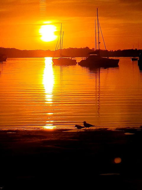 Marina Resort - Accommodation Coffs Harbour 3
