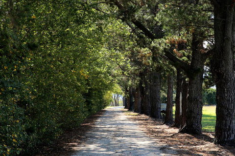 Terara Riverside Retreat - Accommodation Coffs Harbour 26