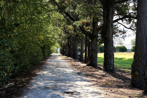 Terara Riverside Retreat - Accommodation Coffs Harbour 30