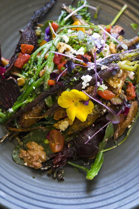 Sage Hotel Wollongong - Accommodation Coffs Harbour 21