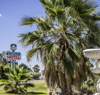 Allonville Gardens Motel - Accommodation Coffs Harbour