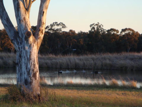 Adina Vineyard - Accommodation Coffs Harbour 10